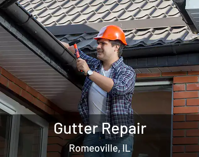  Gutter Repair Romeoville, IL