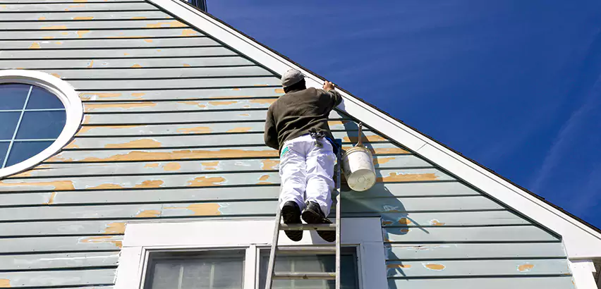 Professional Roof and Siding Repair Services in Romeoville, IL