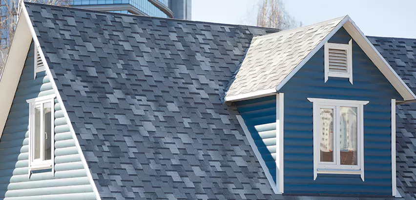 Shingle Roof Maintenance in Romeoville