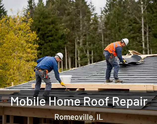  Mobile Home Roof Repair Romeoville, IL