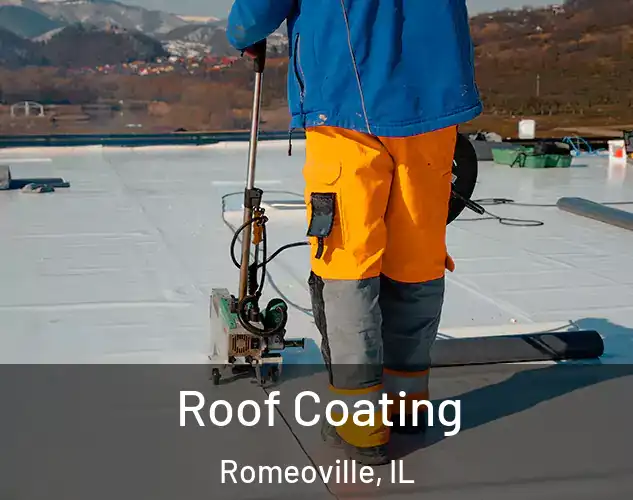  Roof Coating Romeoville, IL
