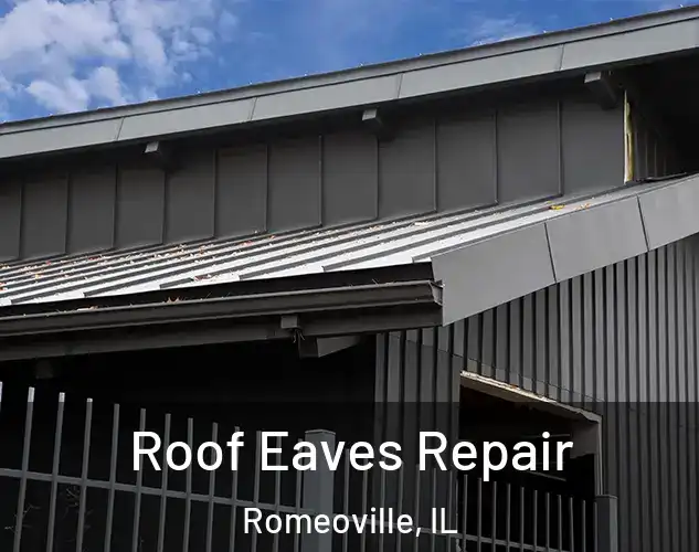  Roof Eaves Repair Romeoville, IL